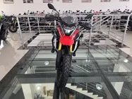  - Miniatura