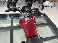  - Miniatura