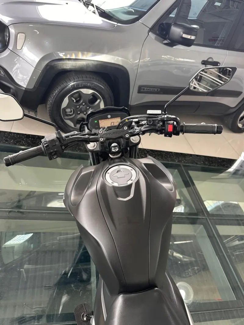 FZ 25 250 Fazer Flex - Foto