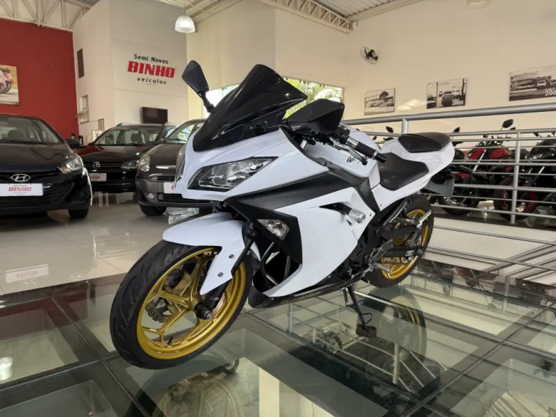 Ninja 300 - Foto